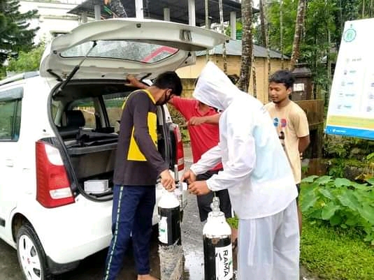 Tree plantation