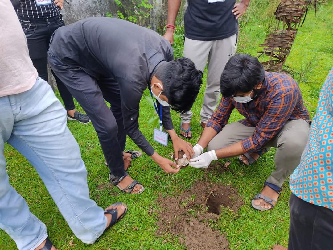 World Environment Day